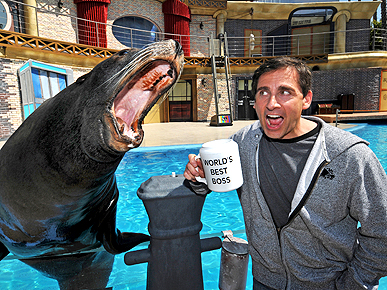 ������ � ������� ������