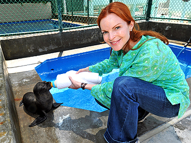 ������ � ������� ������