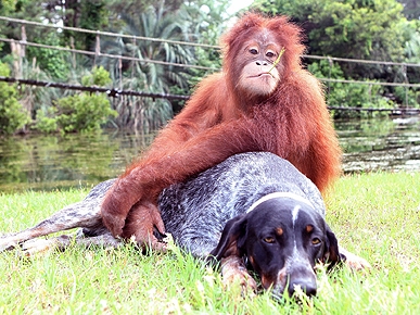 �� ������ ����