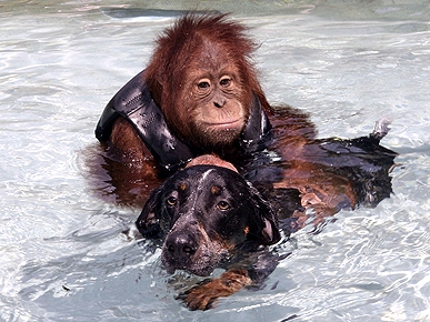 �� ������ ����