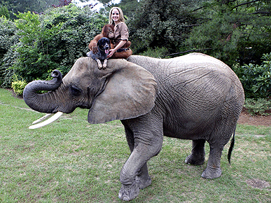 �� ������ ����