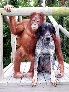 �� ������ ����