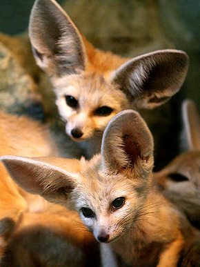 ��� ������ � �����! ��������, ������� �� �����������.