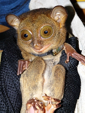 ��� ������ � �����! ��������, ������� �� �����������.