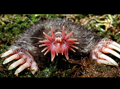 ��� ������ � �����! ��������, ������� �� �����������.