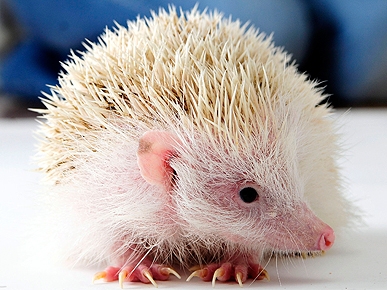 ��� ������ � �����! ��������, ������� �� �����������.