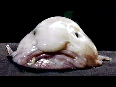 ��� ������ � �����! ��������, ������� �� �����������.