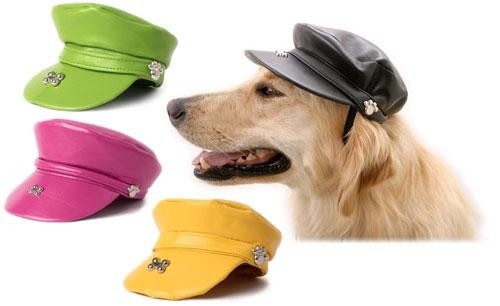 ���� � �����