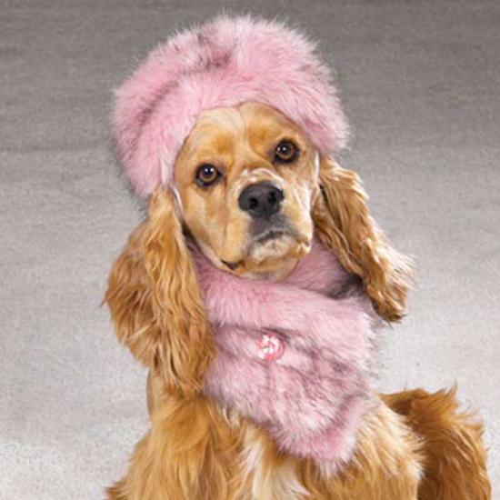 ���� � �����