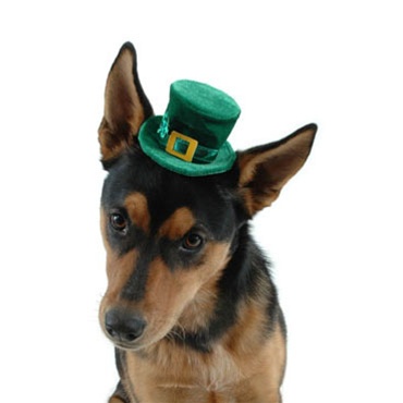 ���� � �����