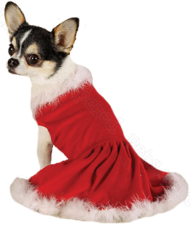 ������ ��� ������