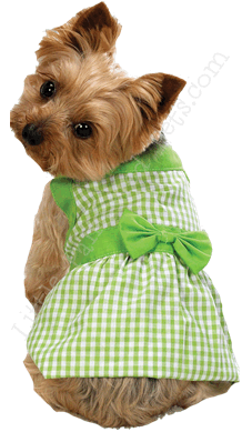 ������ ��� ������