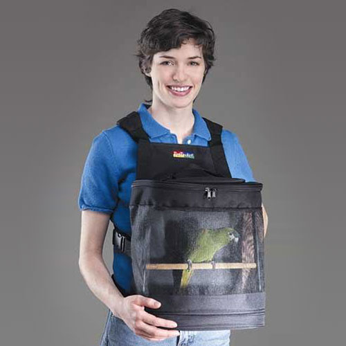 ��������� ��� ����