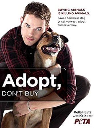 ����� �������� ������ � ���������� �������