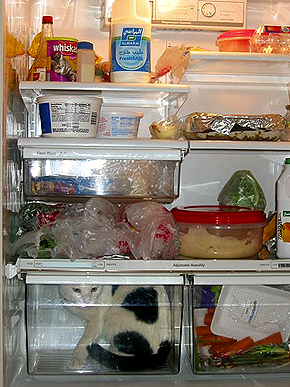 ��������� � ������������!