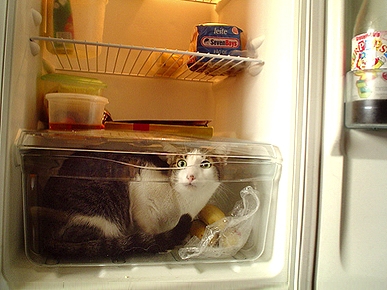 ��������� � ������������!