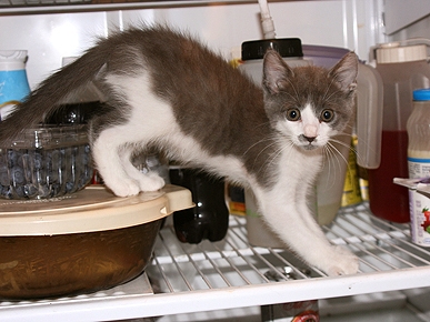 ��������� � ������������!