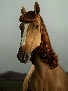 ��������� ��������