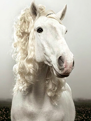 ��������� ��������