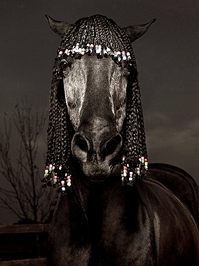 ��������� ��������