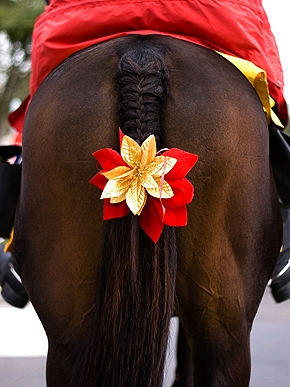 ��������� ��������