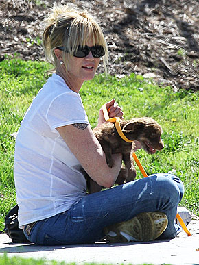 ������ �����. �������� ���� ������