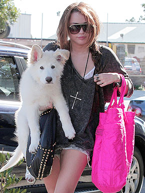 ������ �����. �������� ���� ������