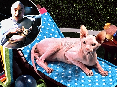 �������� ��������, ��� ��� ������?