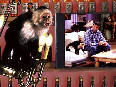 �������� ��������, ��� ��� ������?