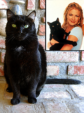 �������� ��������, ��� ��� ������?