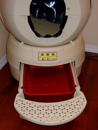 ����� ������