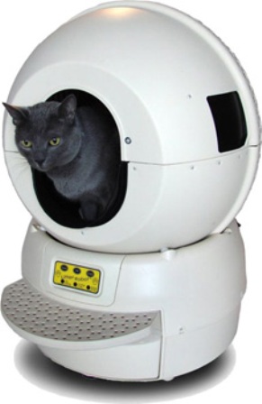 ����� ������