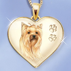 ������� ��������!