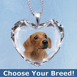 ������� ��������!