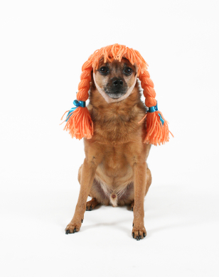 ������ ��� �����