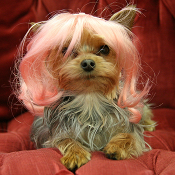 ������ ��� �����