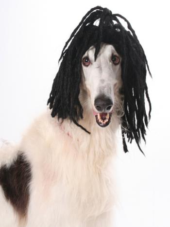 ������ ��� �����