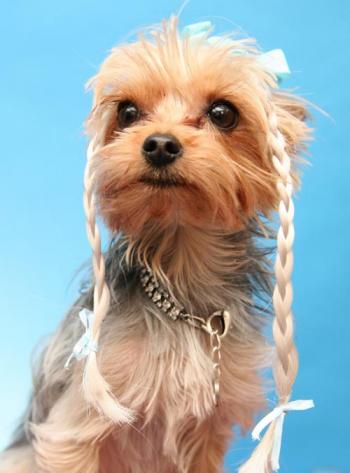 ������ ��� �����