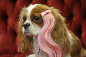 ������ ��� �����