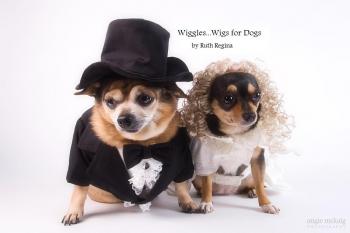 ������ ��� �����