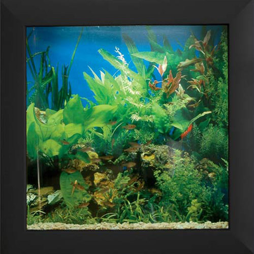 �������� � �����