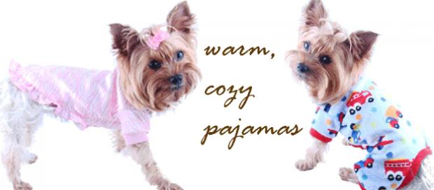 ����� ��������� ����� ��� ������