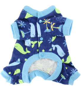 ����� ��������� ����� ��� ������