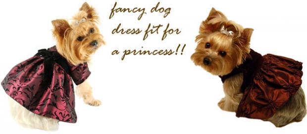 ������ ��� ����� ������ ������