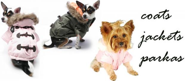 ������ ��� ����� ������ ������