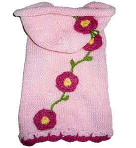 ������ ��� ����� ������ ������