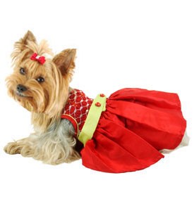 ������ ��� ����� ������ ������