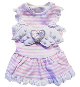 ������ ��� ����� ������ ������