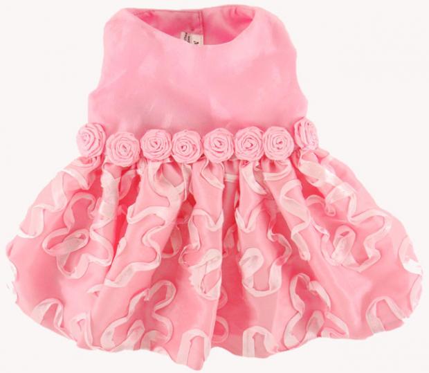 ������ ��� ����� ������ ������