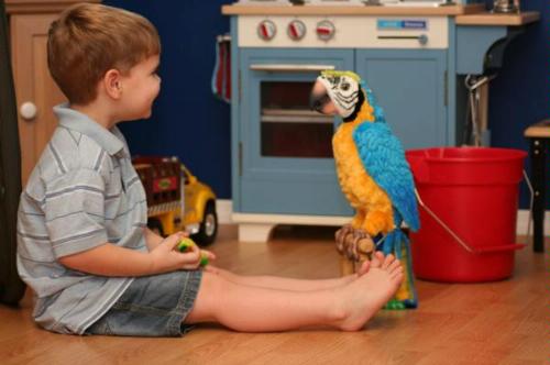 ������������� �������